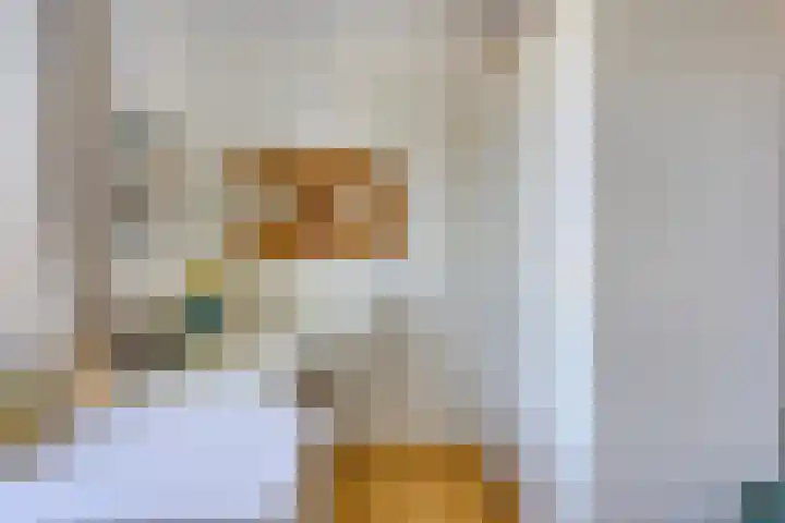 Heilige Stoel 5013 Wijchen thumbnail 19