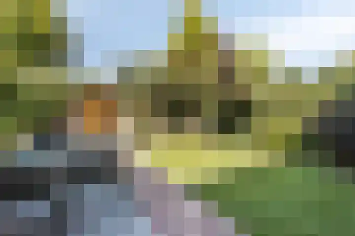 Heilige Stoel 5013 Wijchen thumbnail 26