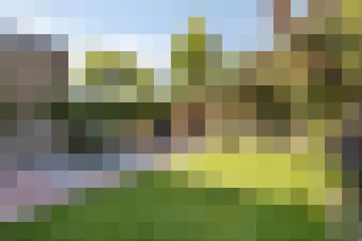 Heilige Stoel 5013 Wijchen thumbnail 27