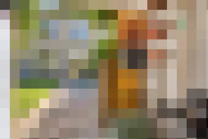 Heilige Stoel 5013 Wijchen thumbnail 28