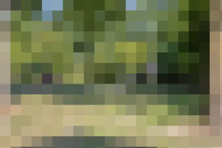 Heilige Stoel 5013 Wijchen thumbnail 29