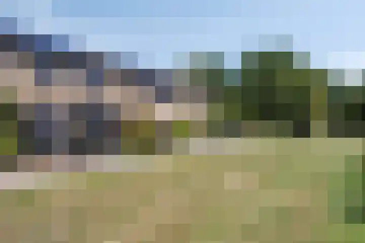 Heilige Stoel 5013 Wijchen thumbnail 30