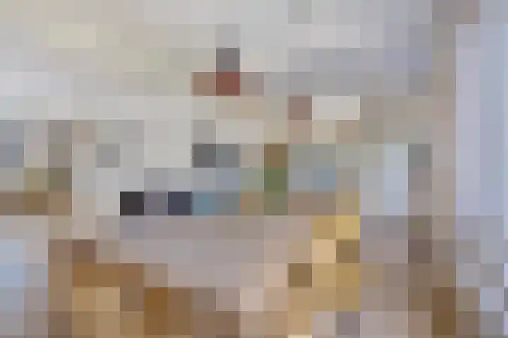 Heilige Stoel 5013 Wijchen thumbnail 7