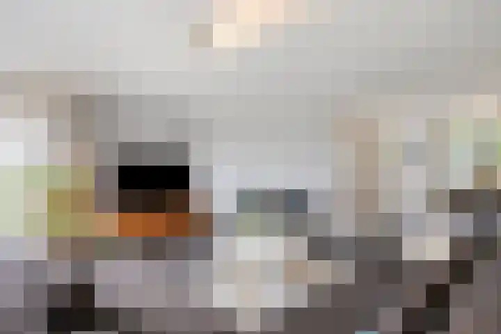 Heiligenbos 13 Berghem thumbnail 10