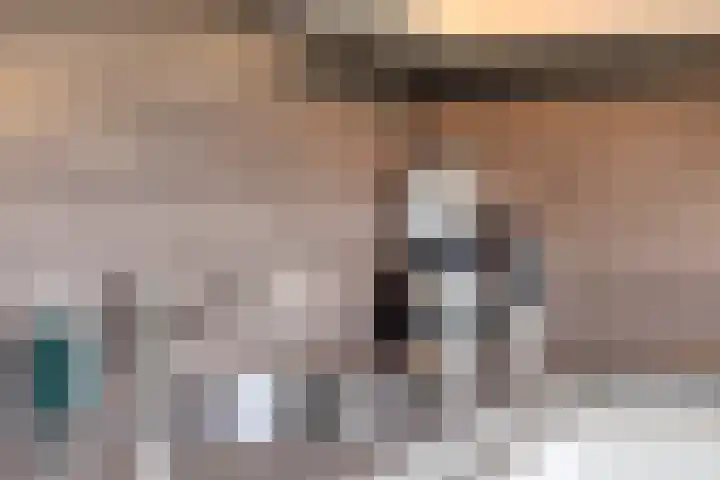 Heiligenbos 13 Berghem thumbnail 13