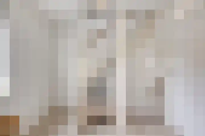 Heiligenbos 13 Berghem thumbnail 14