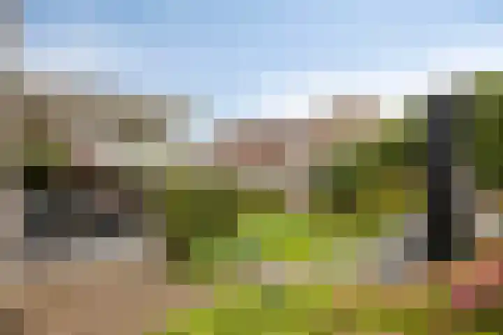 Heiligenbos 13 Berghem thumbnail 29