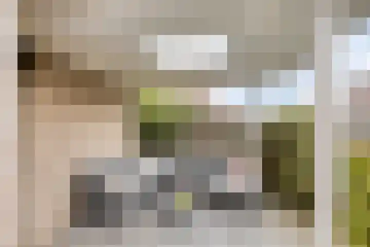 Heiligenbos 13 Berghem thumbnail 30