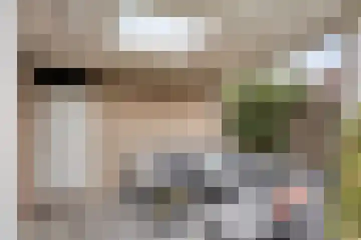Heiligenbos 13 Berghem thumbnail 32