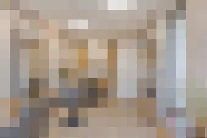 Heiligenbos 13 Berghem thumbnail 34