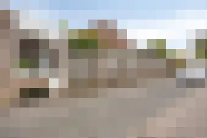 Heiligenbos 13 Berghem thumbnail 39