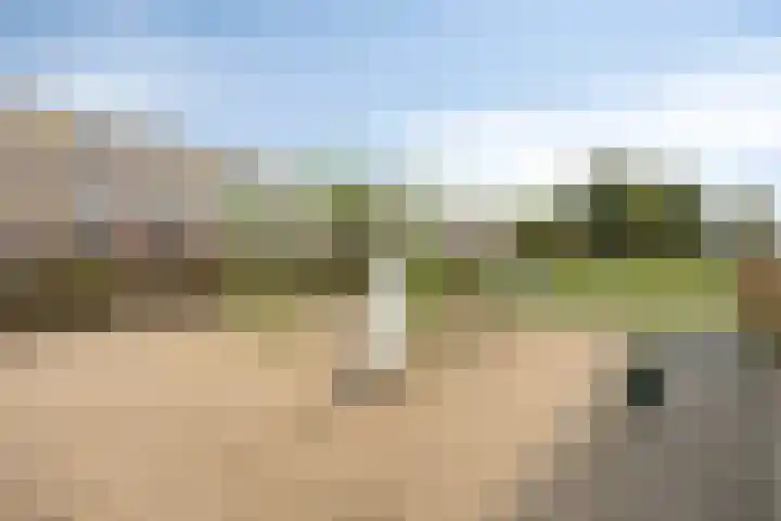 Heiligenbos 13 Berghem thumbnail 42