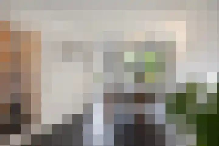 Heiligenbos 13 Berghem thumbnail 8