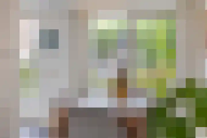 Heiligenbos 13 Berghem thumbnail 9