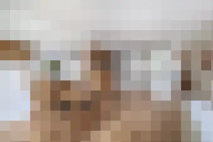 Heiligeweg 3 E Krommenie thumbnail 16