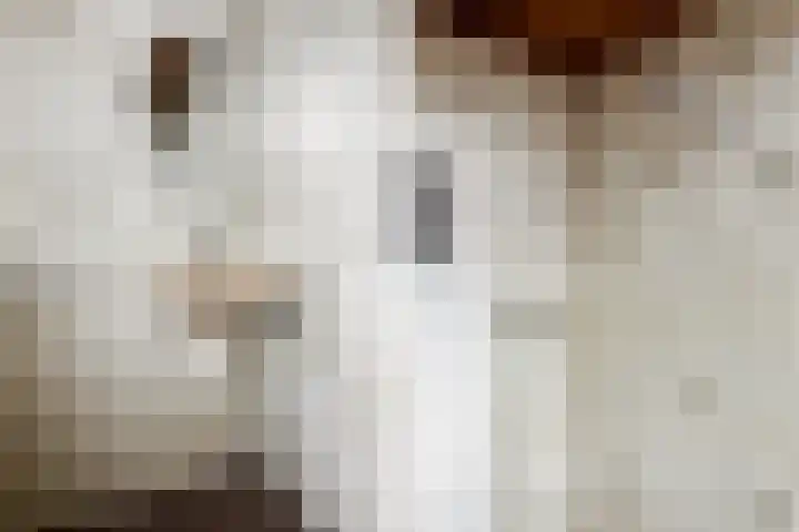 Heilooërdijk 16 Alkmaar thumbnail 21