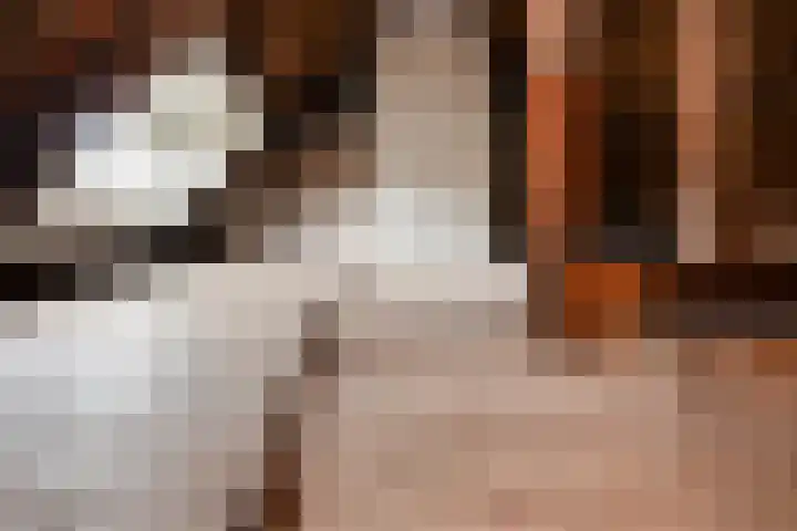 Heilooërdijk 16 Alkmaar thumbnail 31