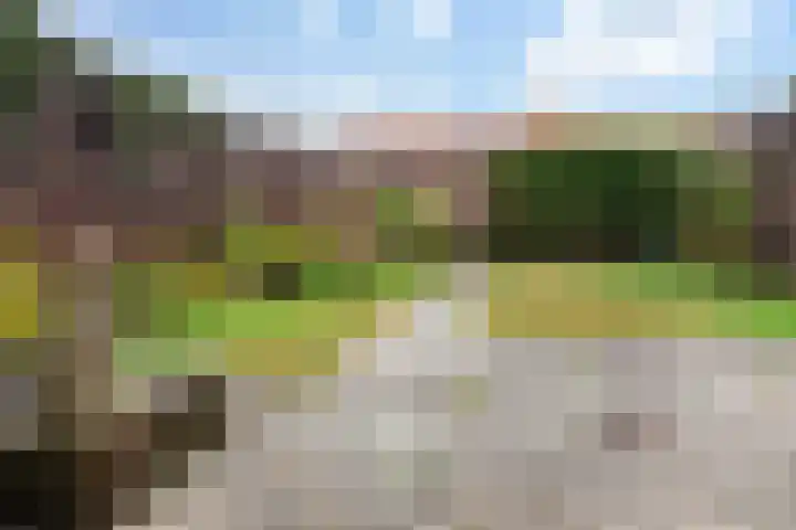 Heilooërdijk 16 Alkmaar thumbnail 34