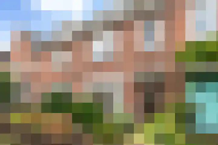 Heilooërdijk 16 Alkmaar thumbnail 5
