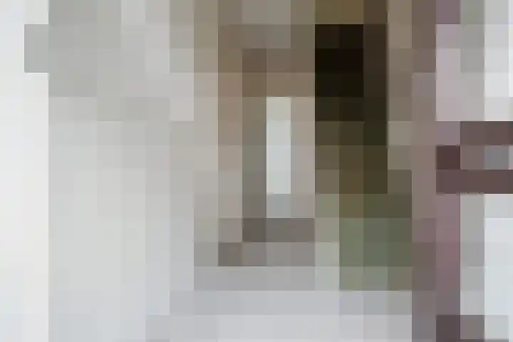 Heilooërdijk 16 Alkmaar thumbnail 8