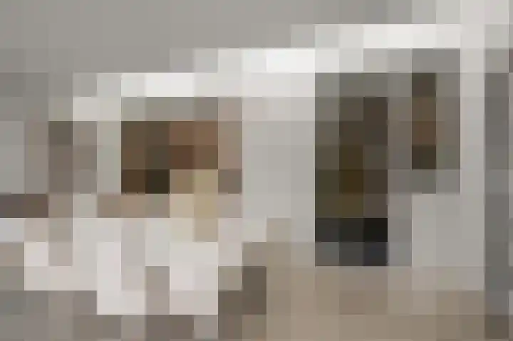 Heilooërdijk 43 Alkmaar thumbnail 10