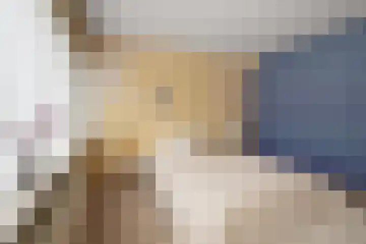 Heilooërdijk 43 Alkmaar thumbnail 12