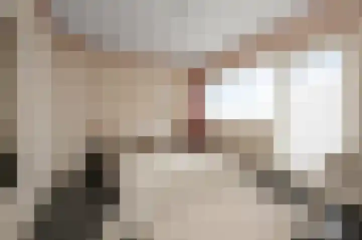 Heilooërdijk 43 Alkmaar thumbnail 14