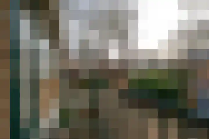 Heilooërdijk 43 Alkmaar thumbnail 16
