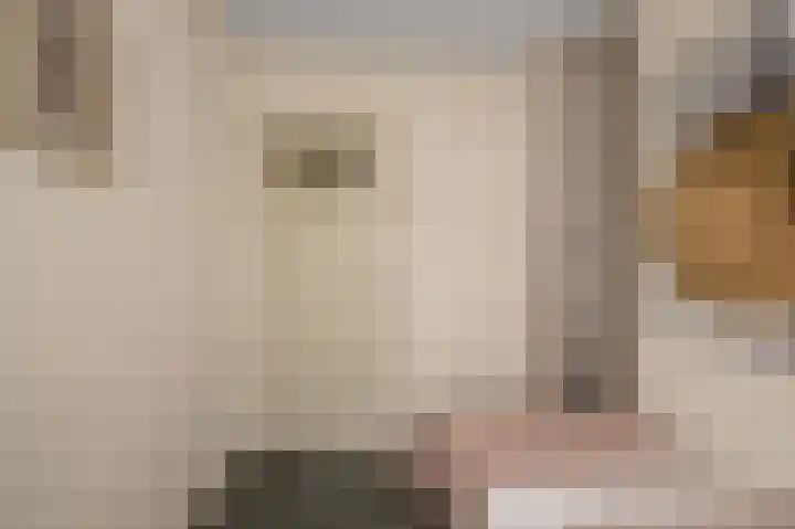 Heilooërdijk 43 Alkmaar thumbnail 18