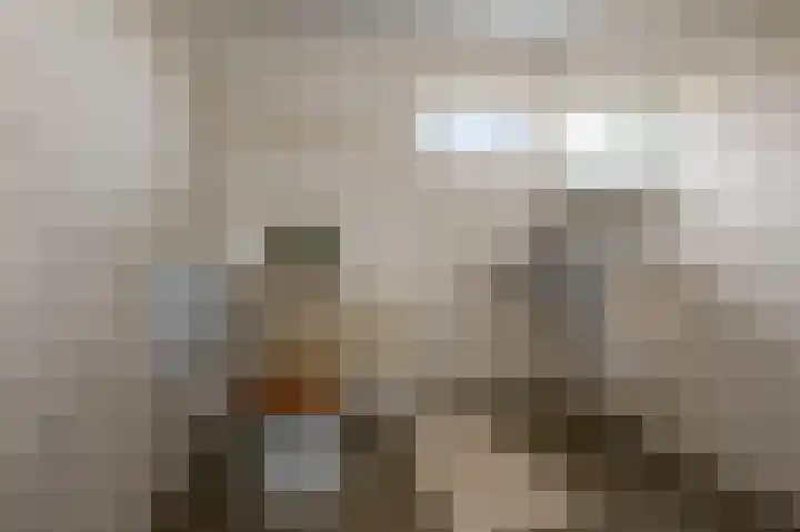 Heilooërdijk 43 Alkmaar thumbnail 19