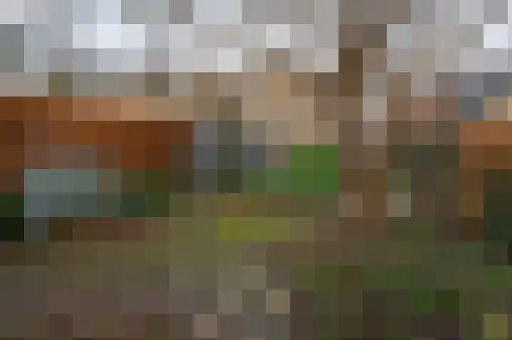 Heilooërdijk 43 Alkmaar thumbnail 22