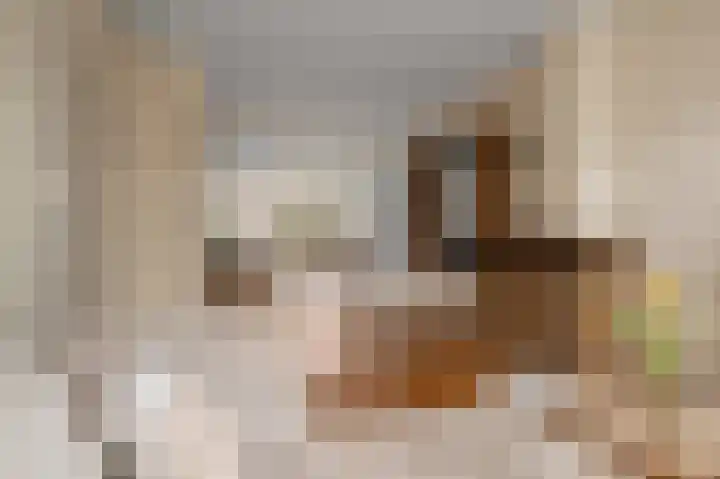 Heilooërdijk 43 Alkmaar thumbnail 4