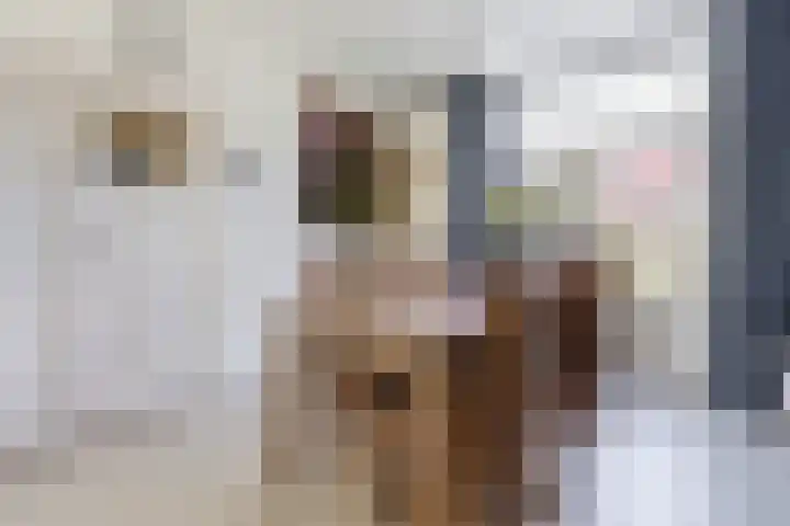 Heilooërdijk 7 Alkmaar thumbnail 13