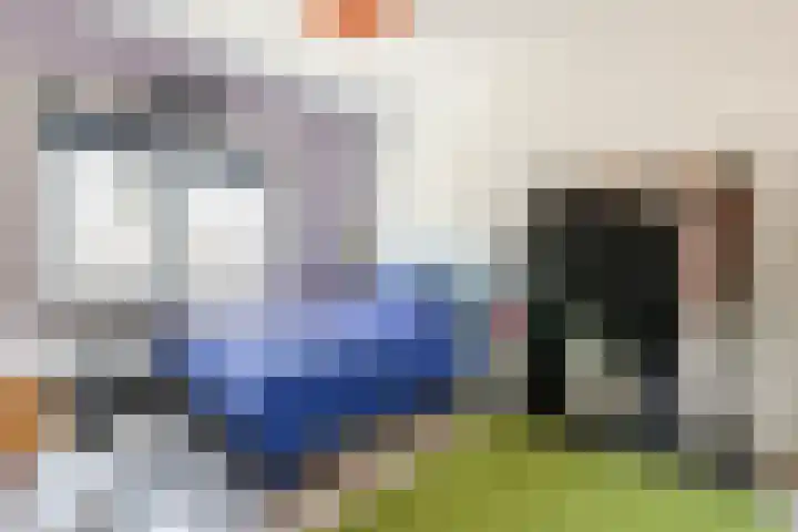 Heilooërdijk 7 Alkmaar thumbnail 17