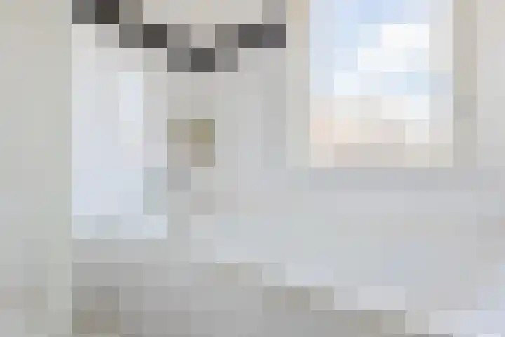 Heilooërdijk 7 Alkmaar thumbnail 23