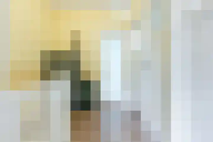 Heilooërdijk 7 Alkmaar thumbnail 26