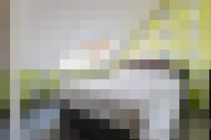 Heilooërdijk 7 Alkmaar thumbnail 30
