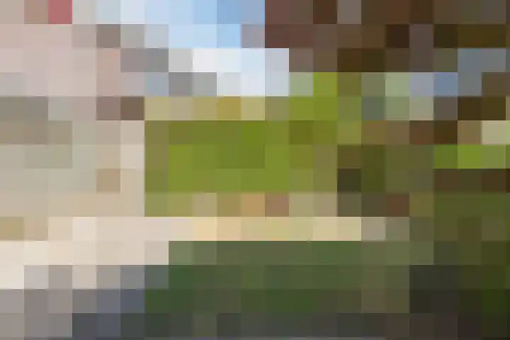 Heilooërdijk 7 Alkmaar thumbnail 37
