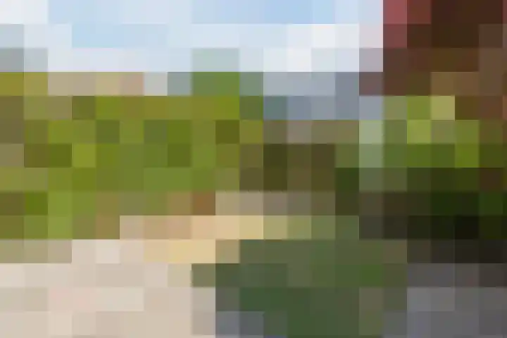 Heilooërdijk 7 Alkmaar thumbnail 38
