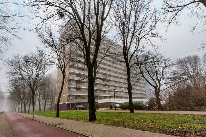 Heiloostraat 31 in 's-Gravenhage foto