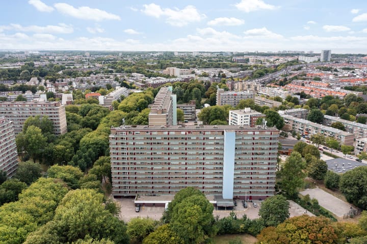 Heiloostraat 49 in 's-Gravenhage foto