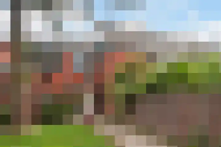 Heimerstein 30 Dordrecht thumbnail 5