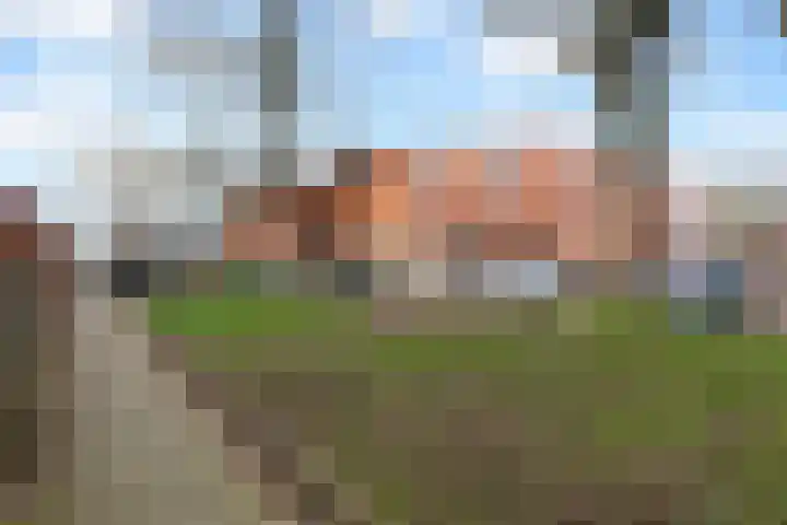 Heimerstein 39 Dordrecht thumbnail 49