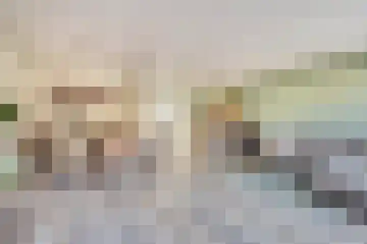 Heimond 27 De Lier thumbnail 12