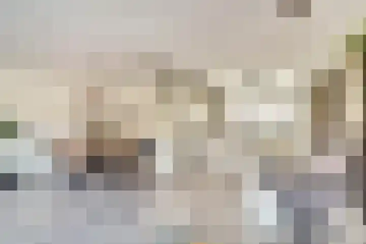 Heimond 27 De Lier thumbnail 13