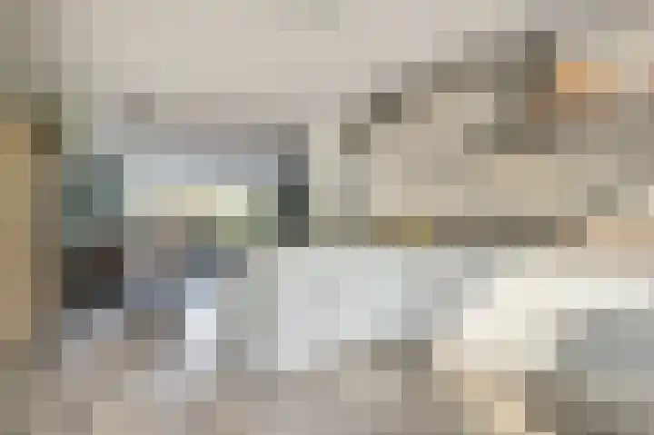 Heimond 27 De Lier thumbnail 15