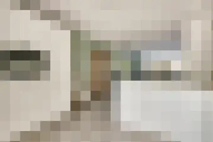 Heimond 27 De Lier thumbnail 16