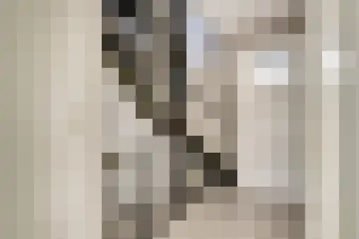 Heimond 27 De Lier thumbnail 18