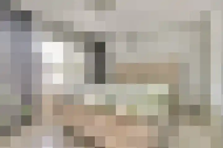 Heimond 27 De Lier thumbnail 19