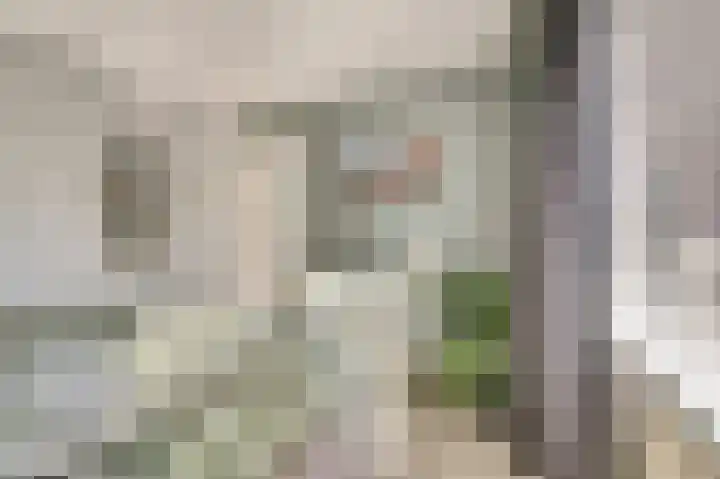 Heimond 27 De Lier thumbnail 20